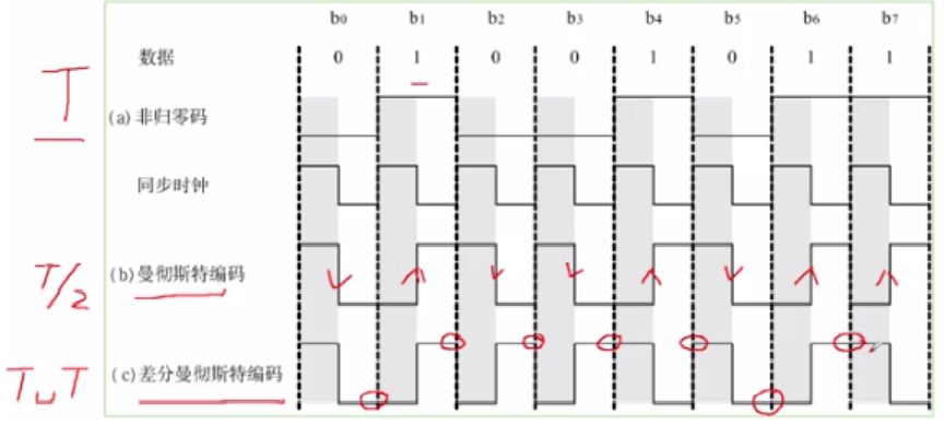 image-20230228162224206